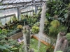 foto094